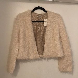 Anthropologie Cropped Cardigan